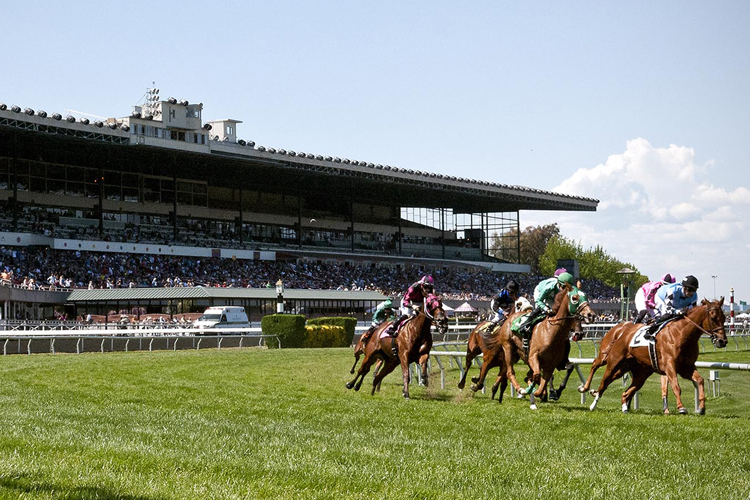 Racecourse : Golden Gate Fields.