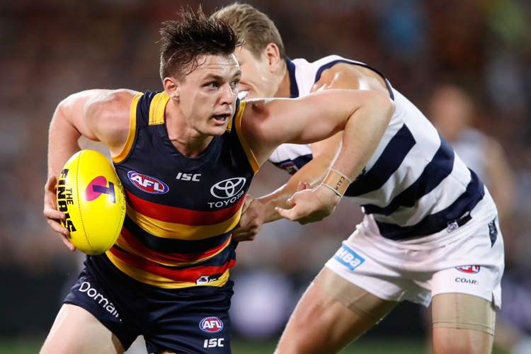 JAKE LEVER of the Crows in action ahead of Rhys Stanley of the Cats during the 2017 AFL First Preliminary Final match between the Adelaide Crows and the Geelong Cats at Adelaide Oval in Adelaide, Australia.