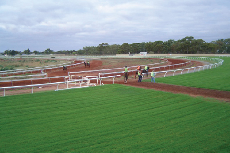 Kalgoorlie racecourse is located in the Western Australia goldfields city of Kalgoorlie-Boulder, 590km west of Perth.<br/><br/>Despite its outback location bordering on the edge of the Nullarbor Kalgoorlie racecourse supports a thriving local racing industry.<br/><br/>Kalgoorlie-Boulder Race Club conducting over 20 race meetings annually and the Coolgardie Racing Club also holds some meetings at the course. The Kalgoorlie season commences in April and goes through to November.<br/><br/>Racing began in Kalgoorlie in 1896 and for many years racing was conducted on a number of tracks in the goldfields region including Boulder and Coolgardie....