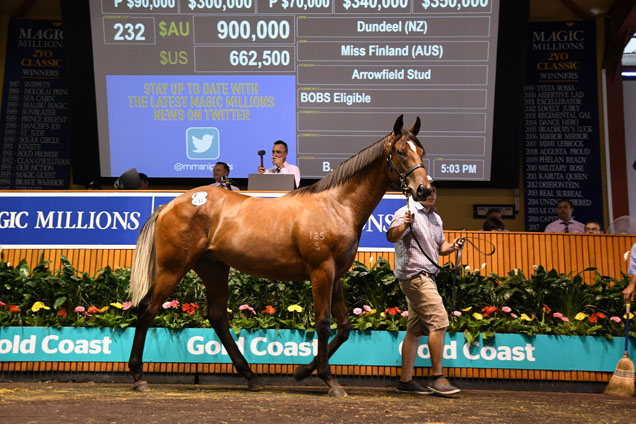 Lot 232 Dundeel-Miss Finland