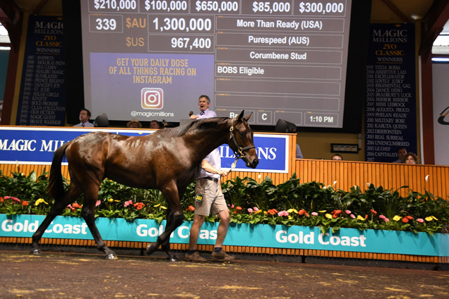 More Than Ready x Purespeed colt sells at the Gold Coast