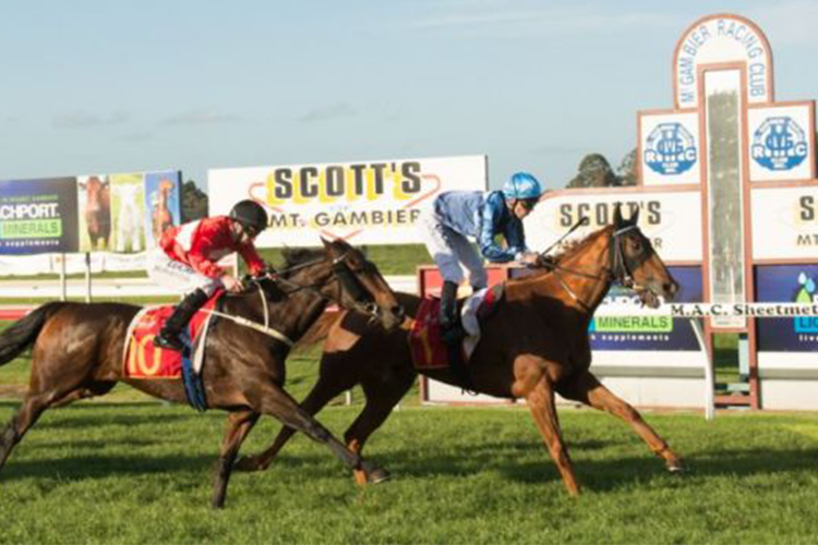 Racecourse : MT Gambier