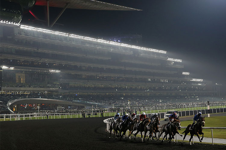 Racecourse : Meydan (UAE)