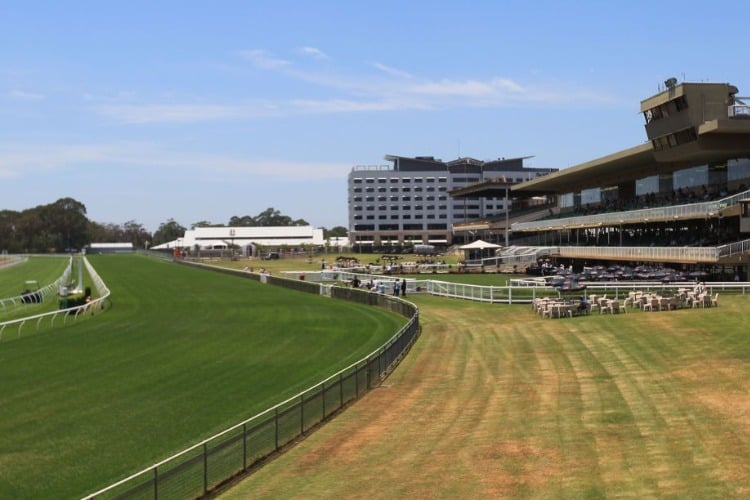 Racecourse : Warwick Farm (Australia).