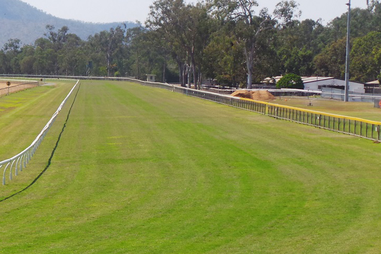 Racecourse : Rockhampton (Callaghanpark-Australia).