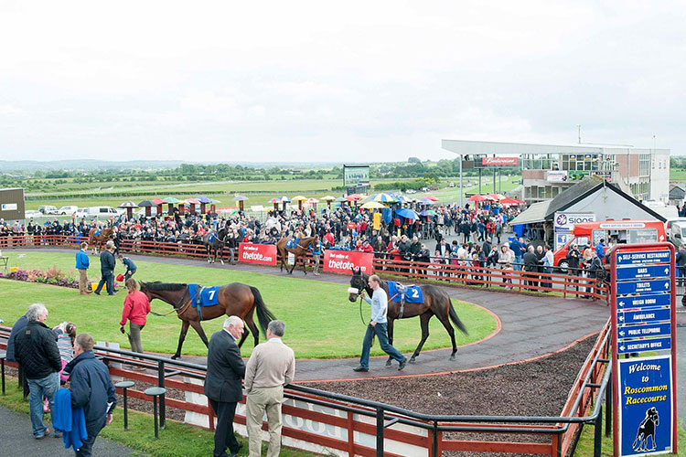 Racecourse : Roscommon (IRE).