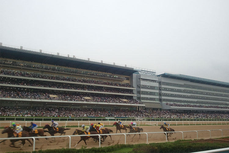 Seoul Racecourse