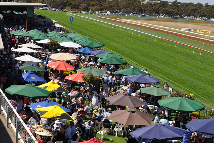 Racecourse : Strathalbyn (Australia).