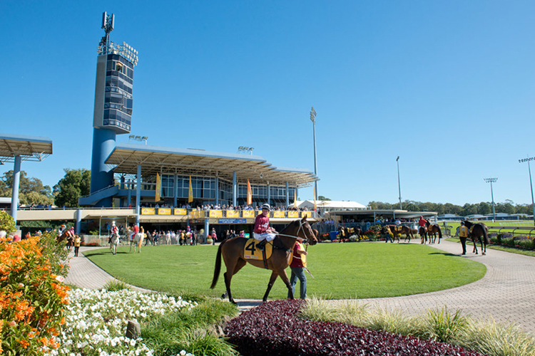 Sunshine Coast Racecourse hosts metropolitan racing on Saturday.