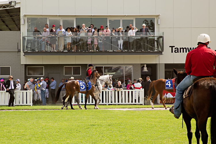 Racecourse : Tamworth (Australia)