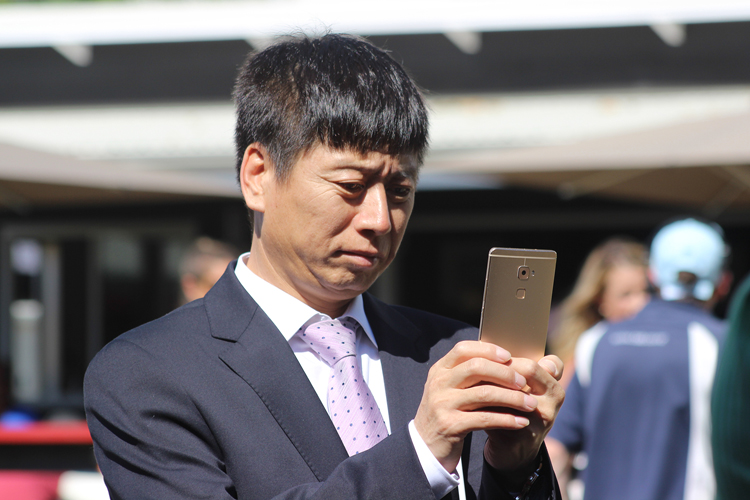 Mr.TJH Zhang Mr.TJH Zhang