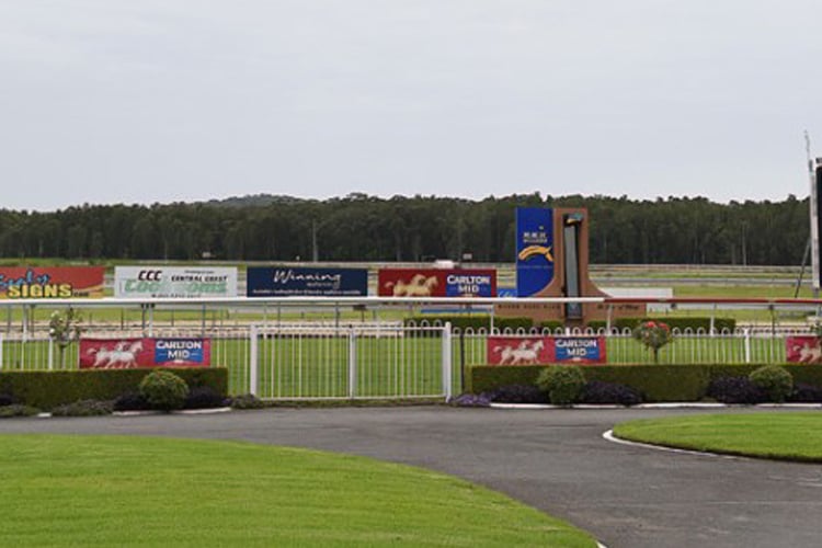 Racecourse : Wyong (Australia).