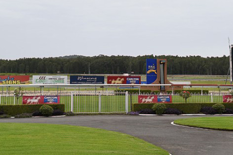 Racecourse : Wyong (Australia.