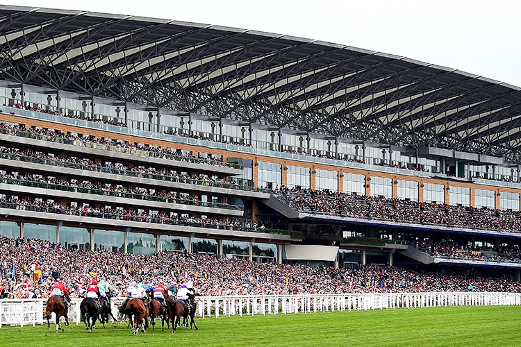 The most famous race week in the world each year is conducted at Ascot racecourse in England.<br/>That is the Royal meeting in mid-June where the course becomes Royal Ascot.<br/><br/>Ascot is located in Berkshire and hosts G1 racing during both the flat and jumps seasons.<br/><br/>In 1711, Queen Anne founded the course and managed race meetings. There has been feature racing at Ascot for over two centuries.<br/><br/>Royal Ascot has such prestige that the Monarch (Queen Elizabeth II) attends each year with many other members of the Royal family. It helps with her love of horse racing. She arrives each day in the Royal carriage procession with other dignitaries....