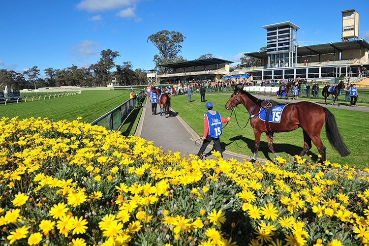 Bendigo racecourse is one of Victoria’s major provincial racing venues, located 150km northwest of Melbourne.<br/><br/>Racing began in the famous gold mining centre of Bendigo in 1858 with the formation of the Bendigo Jockey Club. The first Bendigo Cup was run in 1868 and in 1873 Bendigo Jockey Club converted the Bendigo racecourse to left hand running.<br/><br/>With the switch to racing in the anti-clockwise direction the grandstand which stood on the opposite side of the course was replaced by a new structure.<br/><br/>Bendigo racecourse underwent a major reconstruction in 1998 that saw the course proper circumference extended to 1995m with a home straight of 400m....