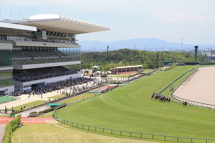 Racecourse : Chukyo (Japan)