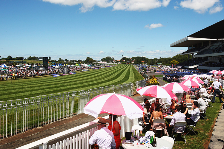 Racecourse : Ellerslie (New Zealand)