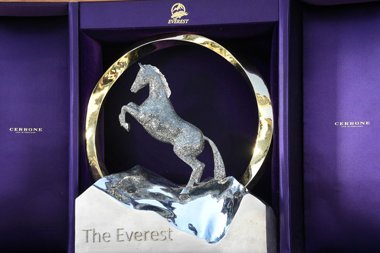 Everest Trophy