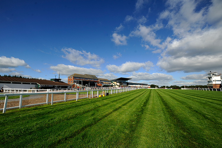 Racecourse : Exeter (Great Britain).