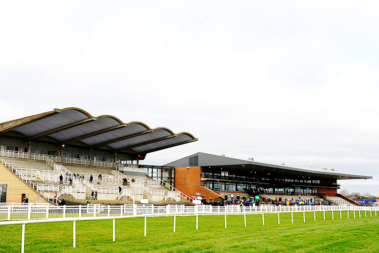 Racecourse : Fairyhouse (Ireland).