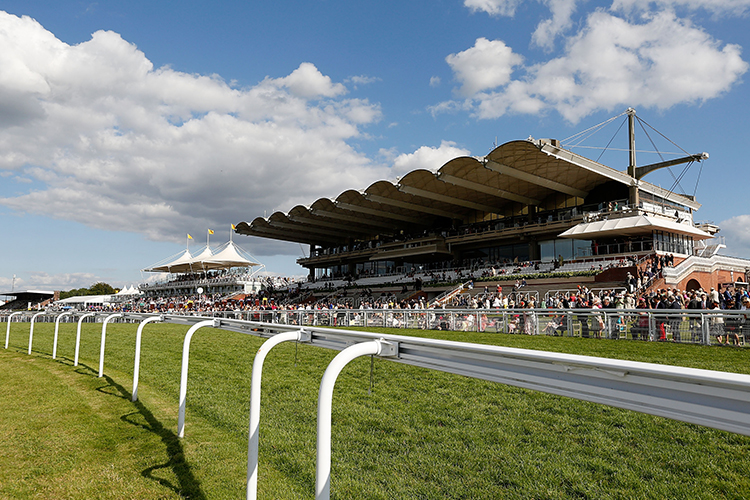 Racecourse : Goodwood