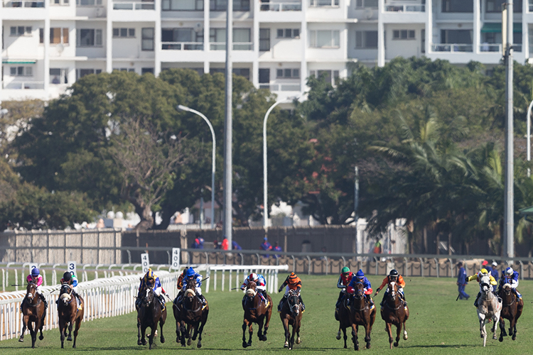 Racecourse : Greyville (South Africa)