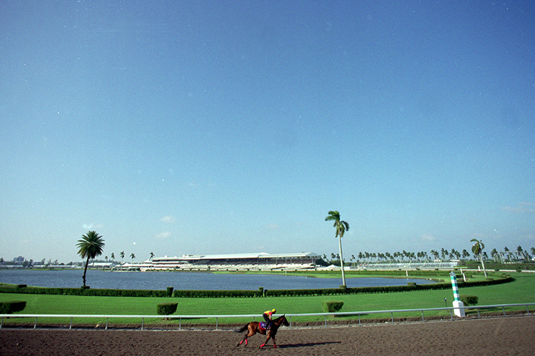 Racecourse : Gulfstream Park.