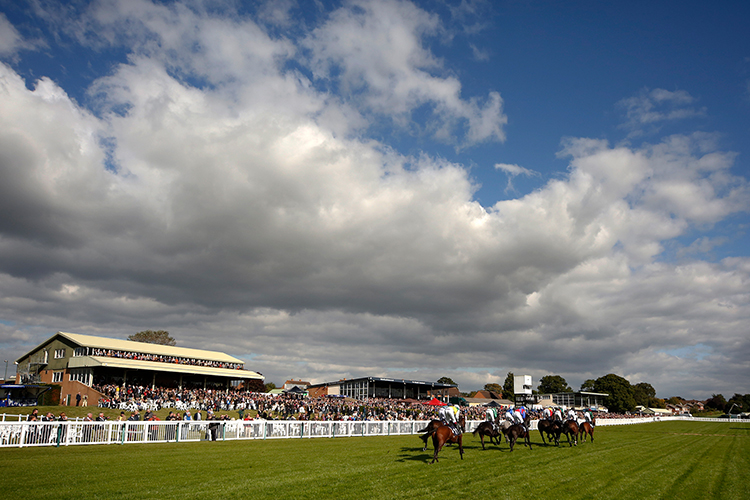 Racecourse : Hereford (Great Britain)
