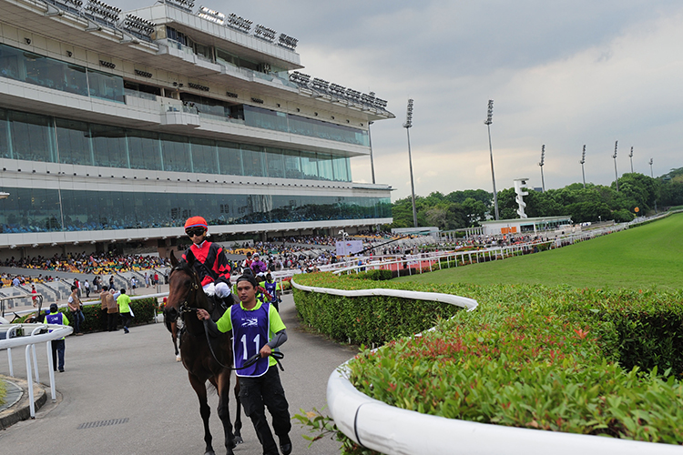 Racecourse : Kranji (Singapore).