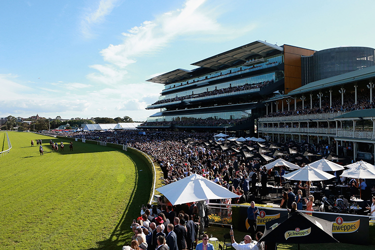 Racecourse : Randwick (Australia).