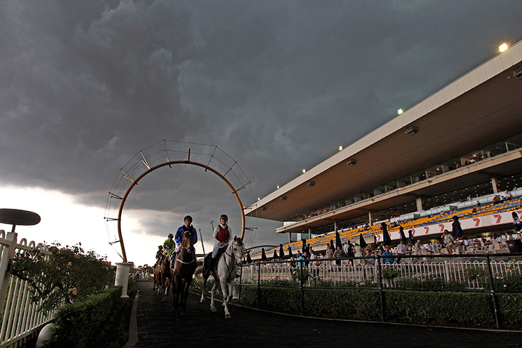 Racecourse : Rosehill (Australia).