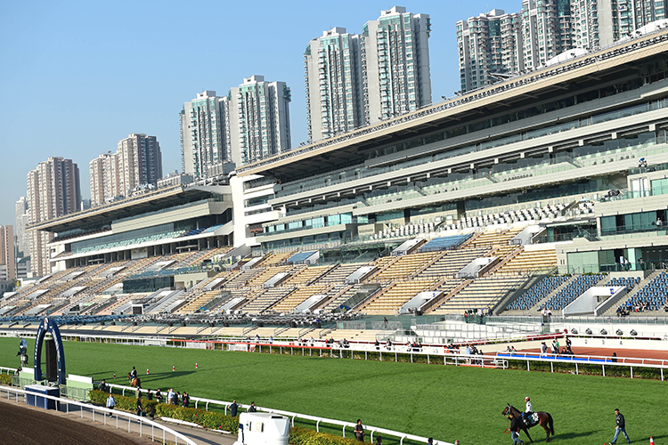 Racecourse : Sha Tin.