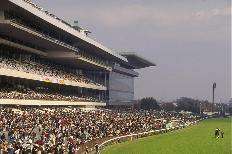 Tokyo Racecourse in Japan