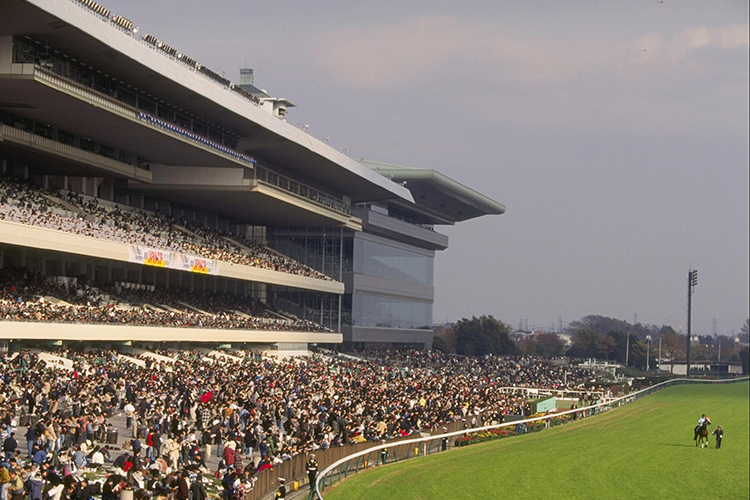 Racecourse : Tokyo (Japan)