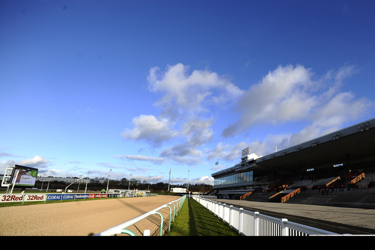 Racecourse : Wolverhampton (Great Britain)
http://www.gettyimages.com/license/461542537
