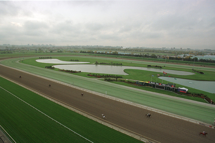 Racecourse : Woodbine (Canada)