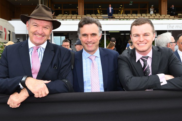 Trainers : David Hayes, Tom Dabernig and Ben Hayes.