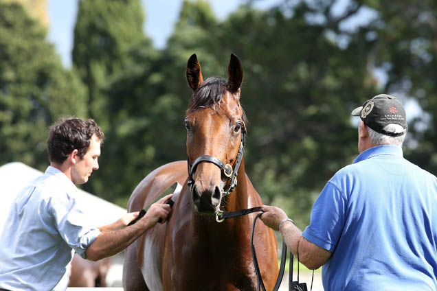 Mark Brooks (left) and El Disparo.