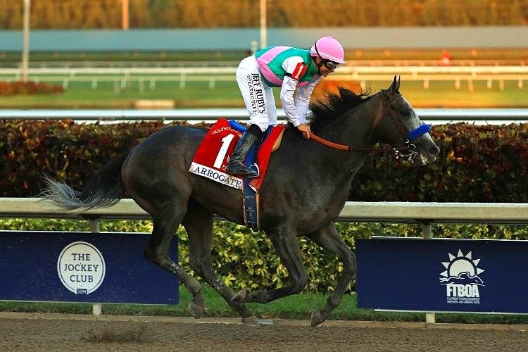 ARROGATE winning the Pegasus World Cup Invitational Stakes Race at Gulfstream Park in Florida.