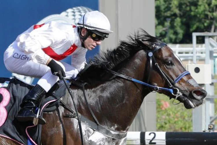 Al Green winning the KRANJI STAKES B