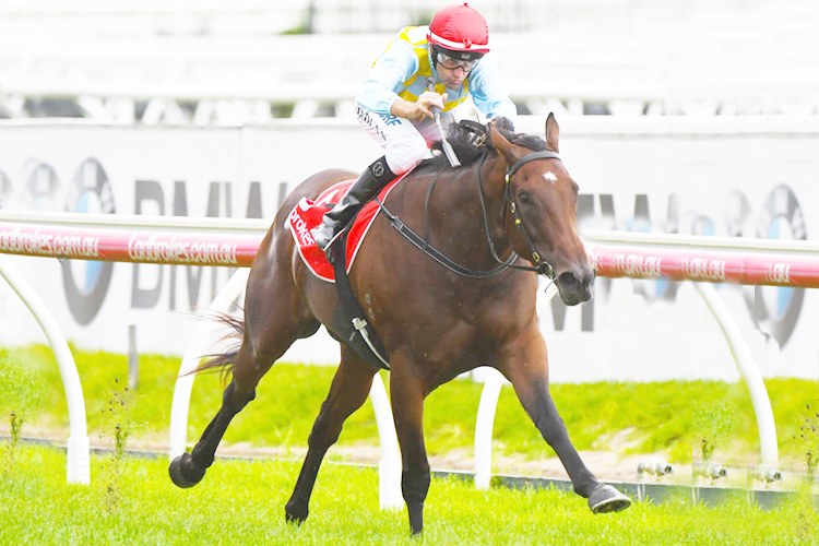 BOOKER winning the Kevin Hayes Stakes Race at Caulfield in Australia.