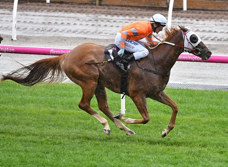 BURNING FRONT winning the Chester Manifold Stakes Race at Flemington in Australia.