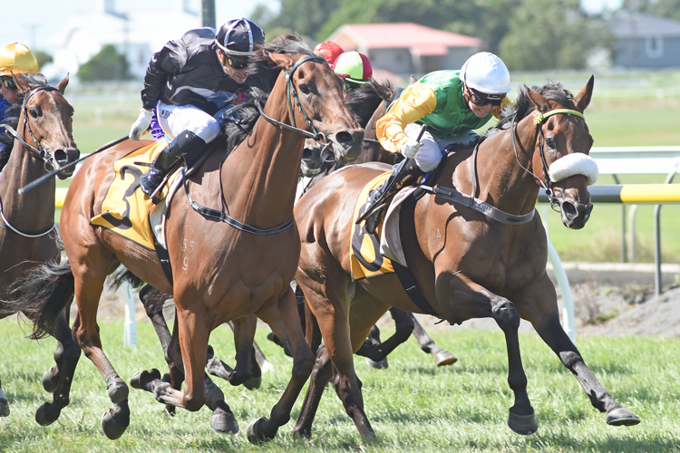 Beefeater (white cap) downs Scapolo in the Gr.3 Taranaki Cup (1800m)