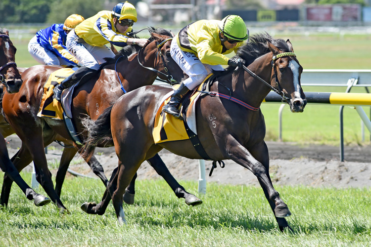 Bit Lippy winning the Phoenix Park 2yo Classic