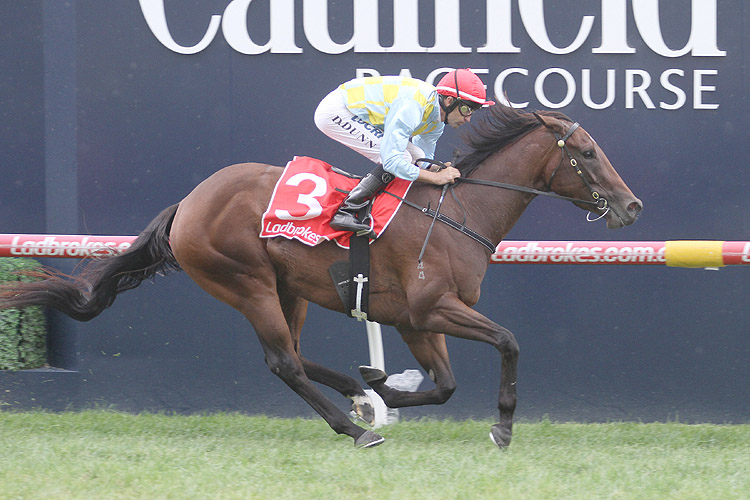 Booker winning the Kevin Hayes Stakes