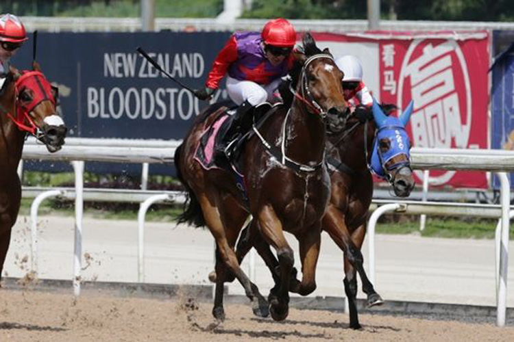 Constant Justice winning the KRANJI STAKES B