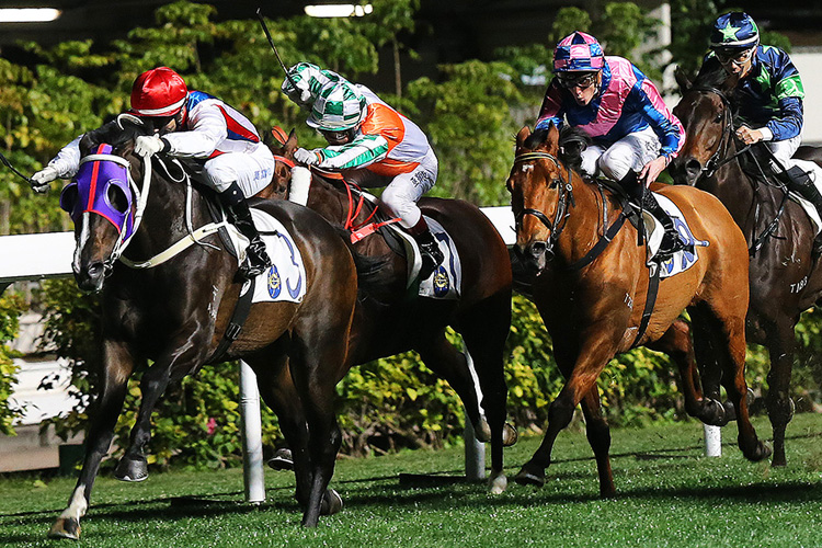 Contribution winning the KINGSTON HANDICAP Contribution winning the KINGSTON HANDICAP