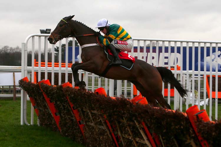 Countister winning the Betfred 'Home Of Goals Galore' Novices' Hurdle
