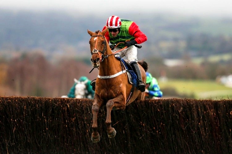 DEFINITLY RED winning the BetBright Trial Cotswold Steeple Chase at Cheltenham in England.
