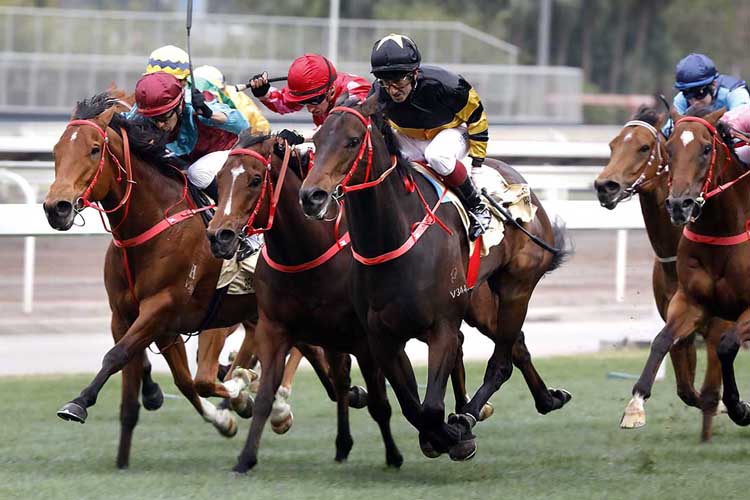 D B Pin (No. 2) wins the Centenary Sprint Cup at Sha Tin D B Pin (No. 2) wins the Centenary Sprint Cup at Sha Tin